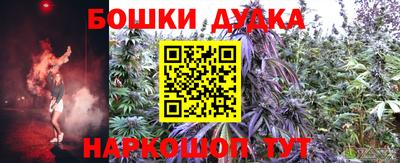 твердый Лесосибирск