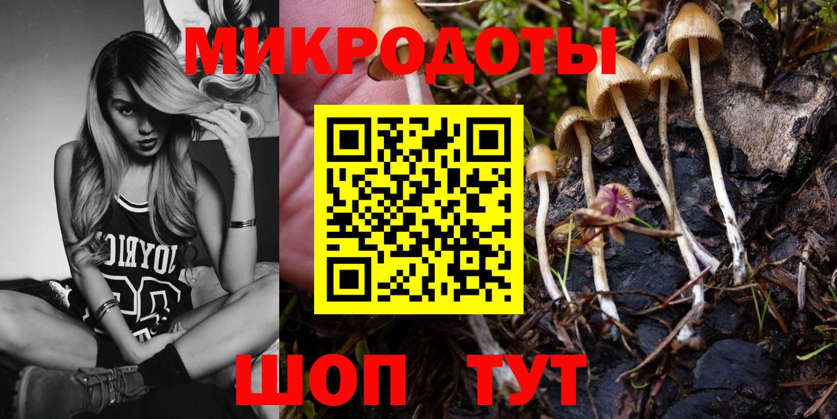 Псилоцибиновые грибы ЛСД Элиста